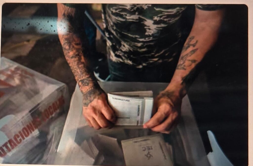 La democracia ya no empieza en las urnas, sino en la pantalla
